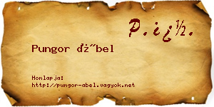 Pungor Ábel névjegykártya